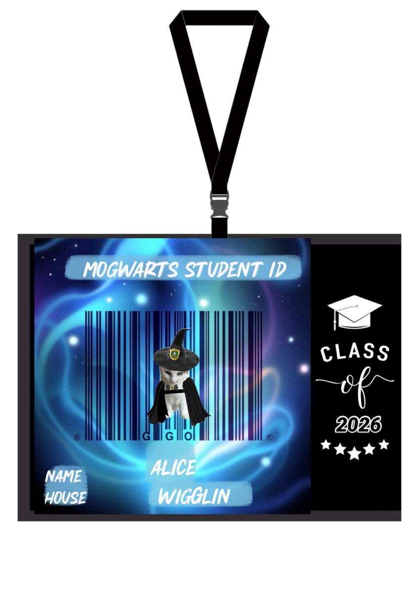 #mogwarts #MWSchoolID