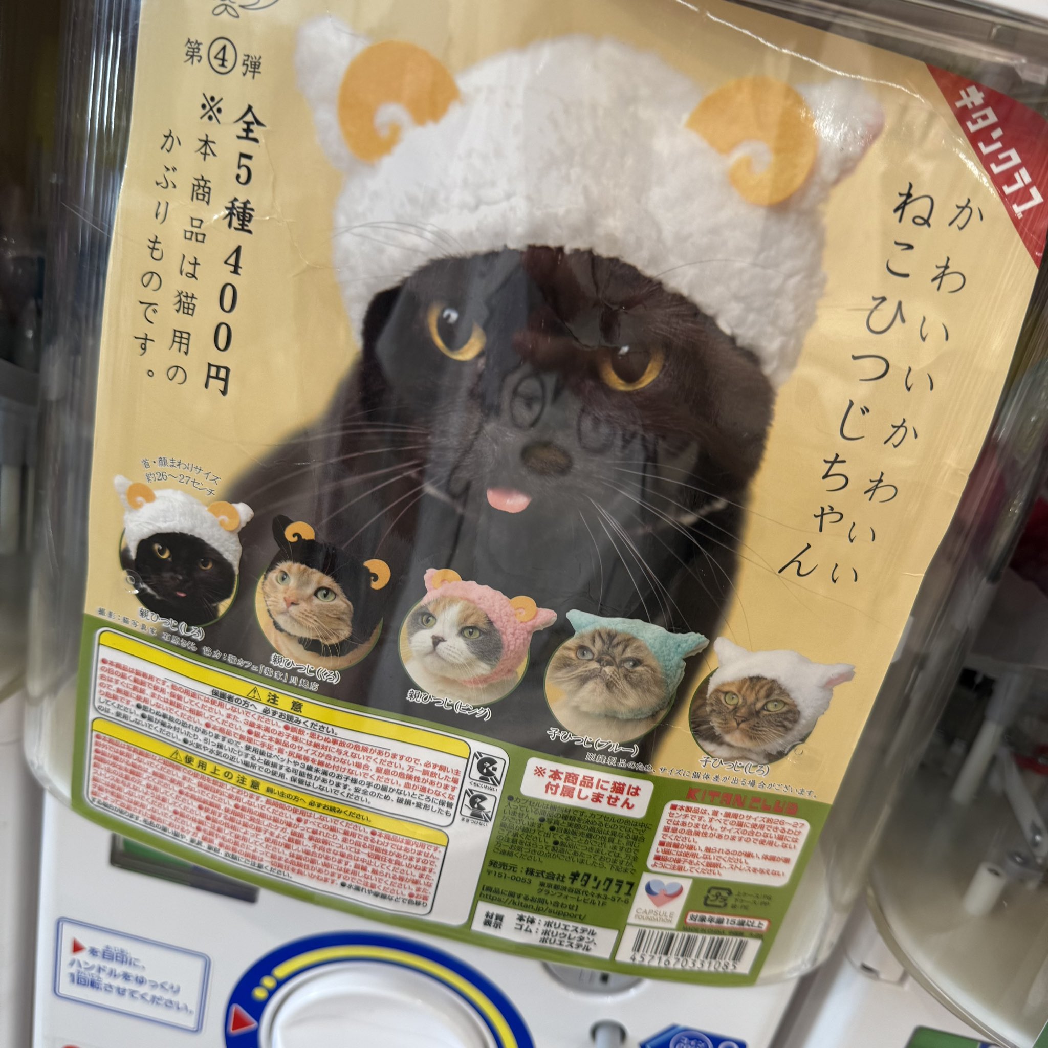 萌猫 suzu on X: 