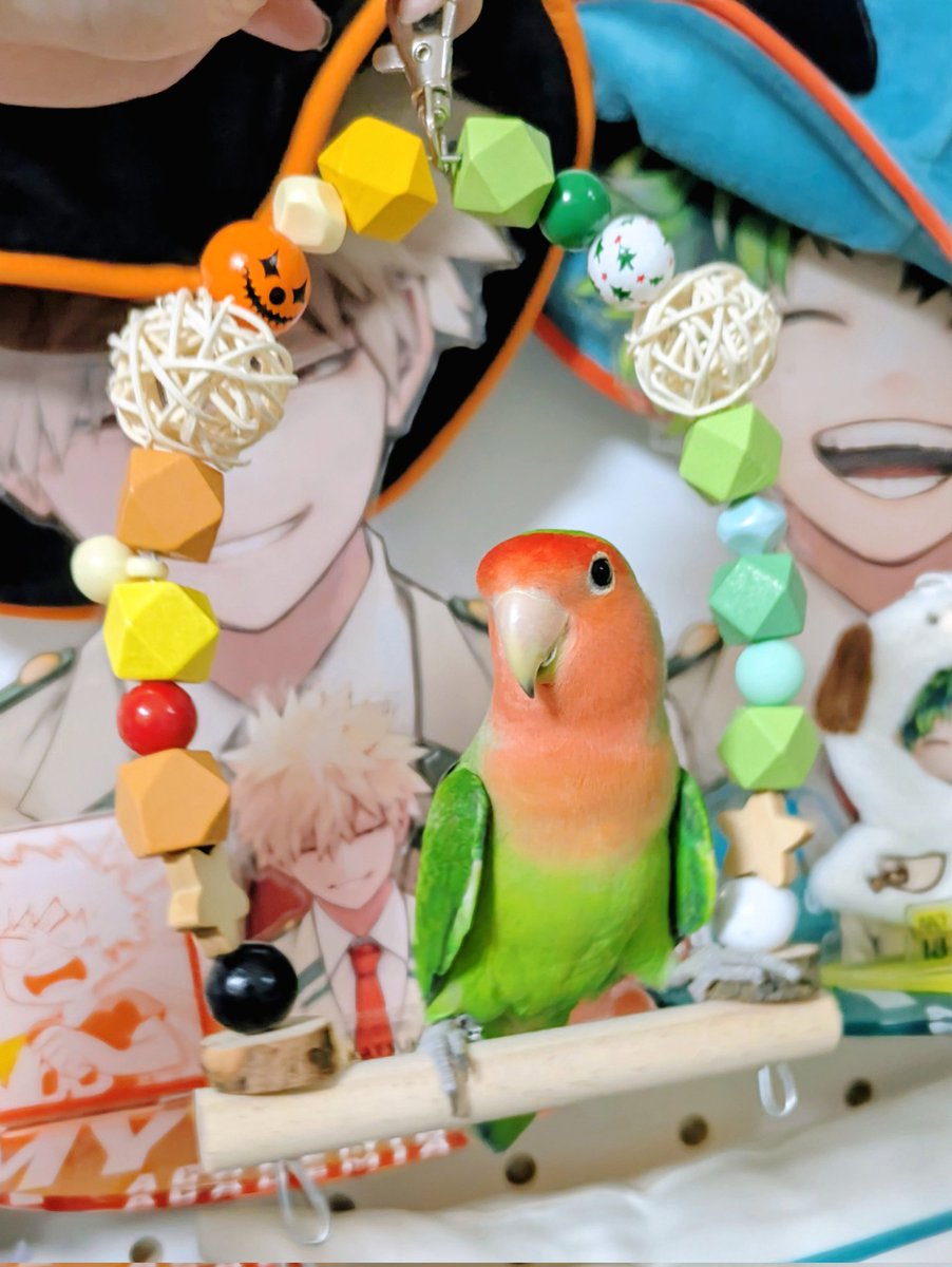 heres my boi
hes name is mehlon