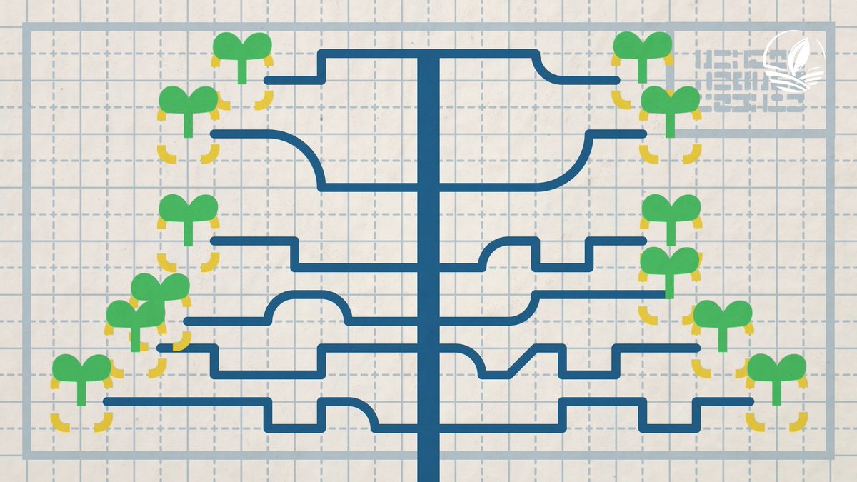 Desde obras hidráulicas construidas por los egipcios hasta las más modernas tecnologías que, a partir de la inteligencia artificial, planifican el agua de acuerdo a las necesidades de cada cultivo; el riego ha transformado tanto el entorno natural como las estructuras sociales.