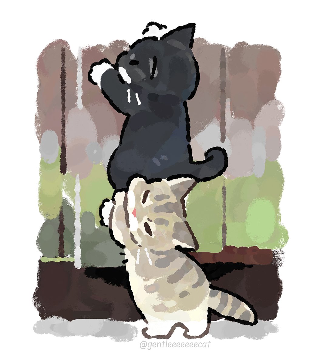 GENTLECAT tweet media