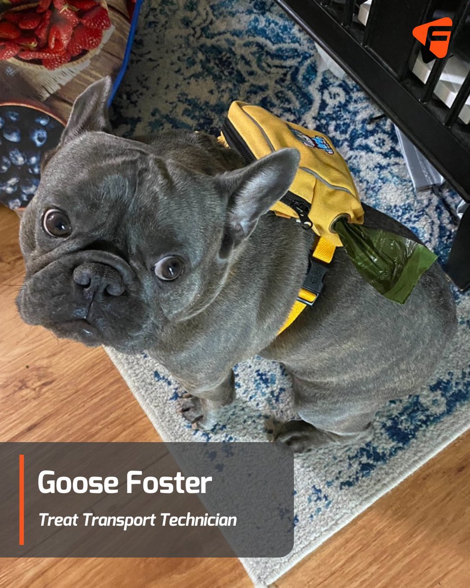 FSET Inc tweet media