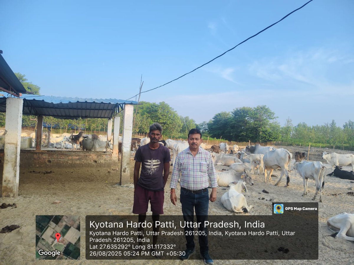 BdoSakran's tweet photo. आज दिनांक 26.8.2025 को गोआश्रय स्थल मानपुर सिकरी का  निरीक्षण किया गया । निरीक्षण में पाई गई कमियों को तत्काल वहीं पर निस्तारित की गई। @dm_sitapur @CdoSitapur https://t.co/Rx4BE81IX3
