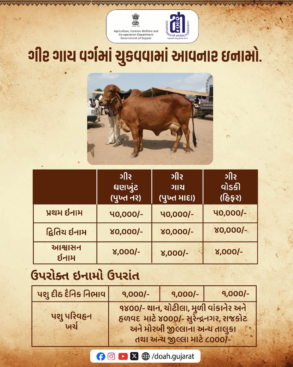 DoahGujarat's tweet image. ગાય અને ભેંસ વર્ગમાં ચુકવવામાં આવનાર ઇનામો.

@dept_of_ahd @posolanki  @RaghavjiPatel 
@InfoGujarat 

#CowCompetition
#BuffaloCompetition
#LivestockShow
#AnimalAwards
#PrizeDistribution
#AnimalHusbandry
