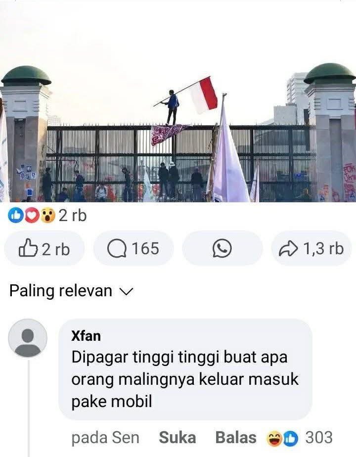 qrivasi's tweet image. 