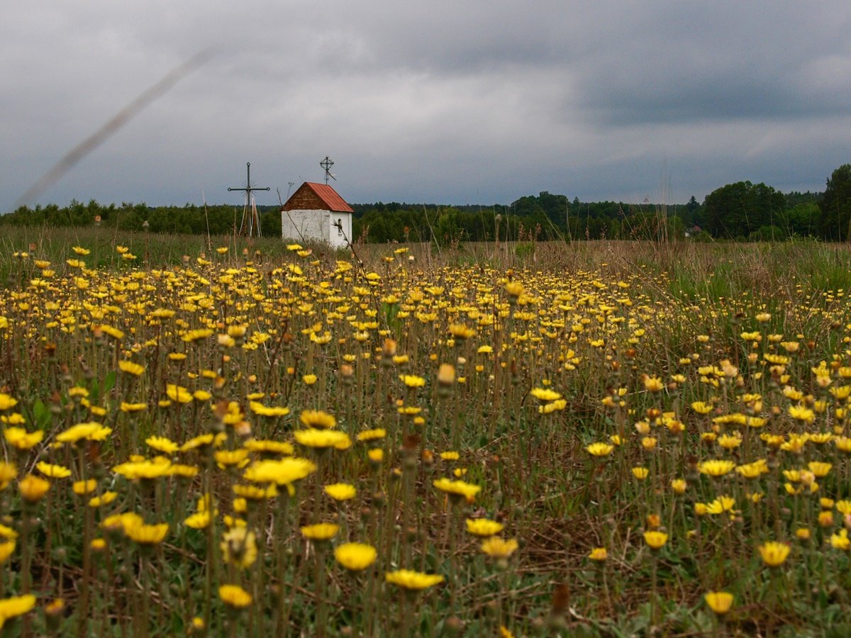 Thread: This is the chapel of St. Anne in Głupianka (bozestopki.edu.pl/glupianka/), Gmina Kołbiel, Otwock County, Masovian Voivodeship, Poland. It was built on the site where until 1907, stood a giant  glacial boulder, which was considered sacred by the local population...