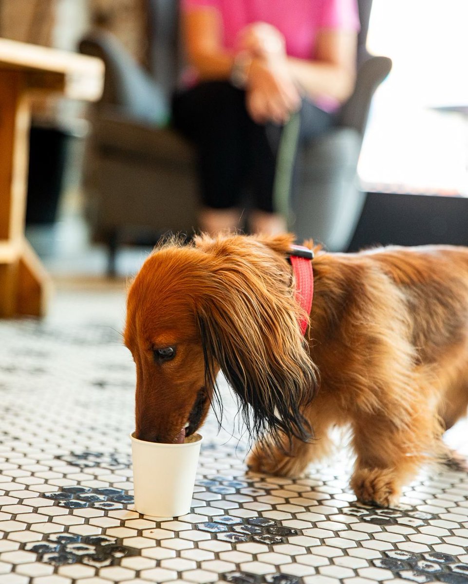 Foster Coffee Co tweet media