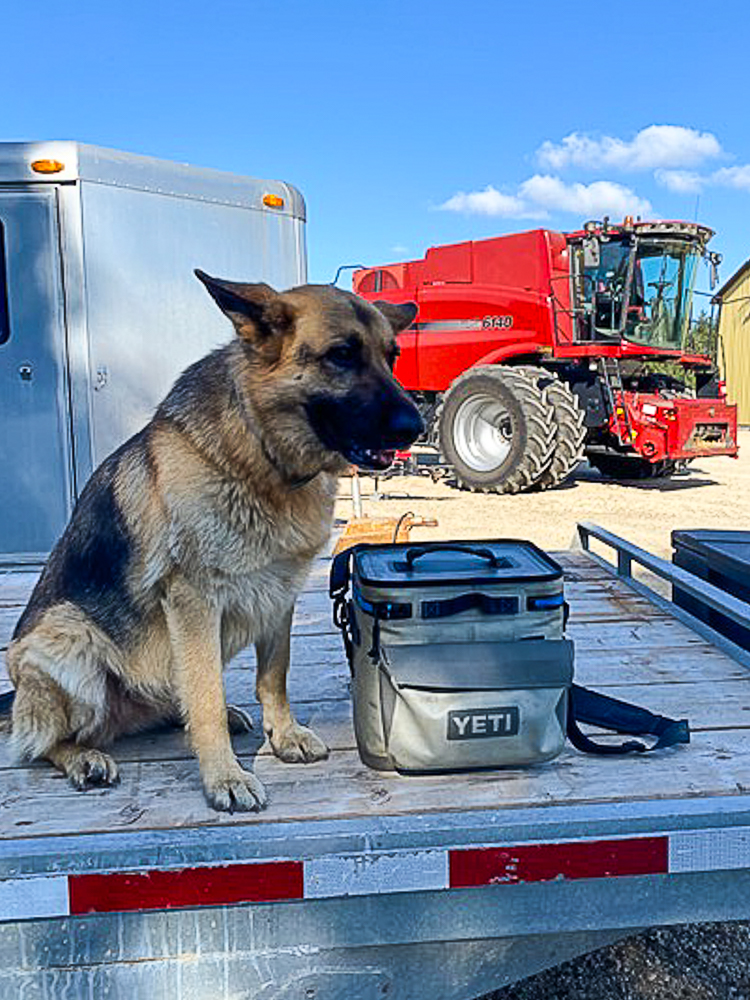 Equipment Ontario tweet media
