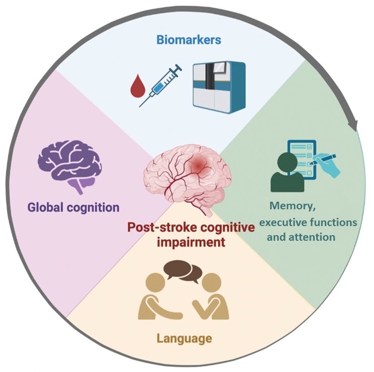 #STROKE: This topical review by Gorostiola-Oyarzabal et al. discusses the existing research on molecular biomarkers as a prognostic factor for poststroke cognitive deterioration. <a href="/MarFreijo/">Mari Mar Freijo</a> <a href="/OSIEECruces/">OSI EEC - Hospital Universitario Cruces</a> <a href="/bcbl_/">BCBL</a> #AHAJournals ahajrnls.org/3VhSNgL