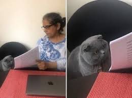 Teacher: what comes after Wednesday?
me: Thursday 
Teacher: Then why did you write maintenance?
