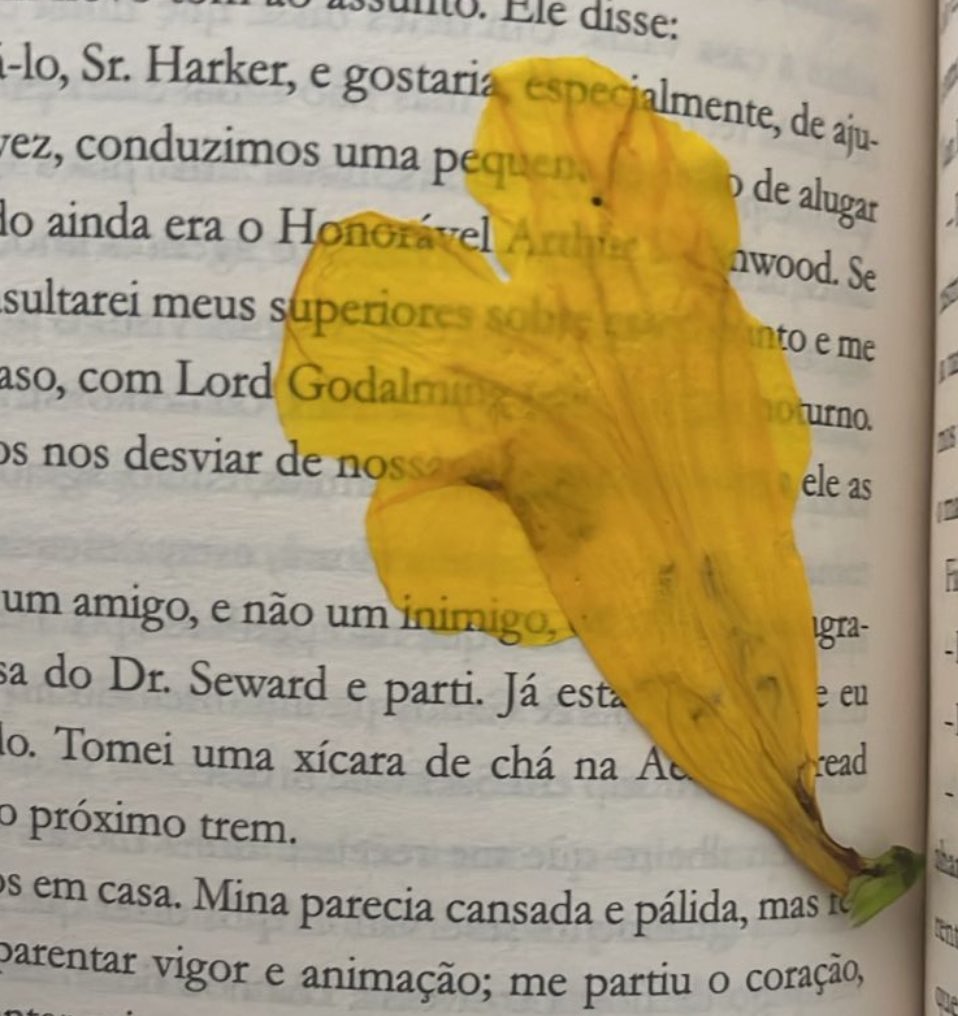 ela me devolveu o livro com uma FLOR dentro vsfd