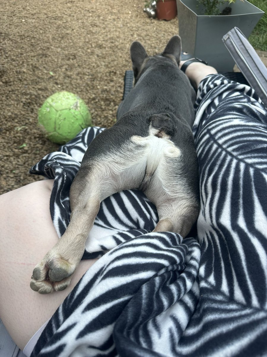 It’s hard work being this cute! Garden naps are the best!! 😂