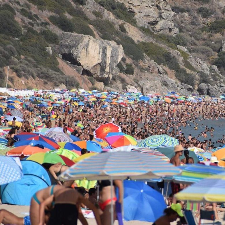 Sharron Livingston tweet media