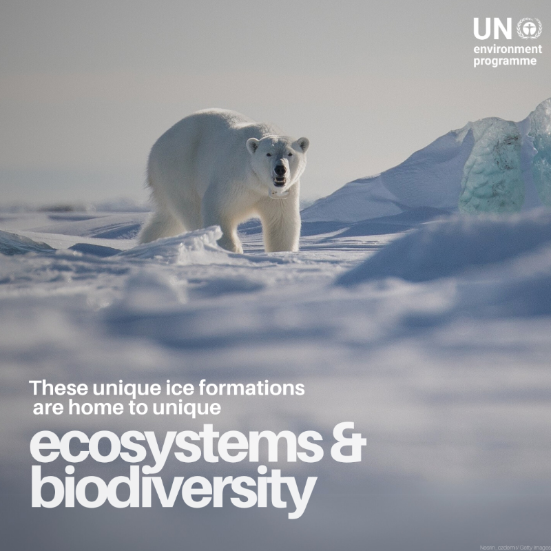UNEP's tweet photo. It’s #WorldWaterWeek, a reminder of how deeply we depend on glaciers.

They store and supply freshwater for billions, but climate change is causing them to disappear fast.

We need urgent #ClimateAction to protect glaciers ↓