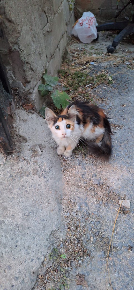 bu güzel çocuk görme engelli haliyle sokaktaymış acil paylaşır mısınız