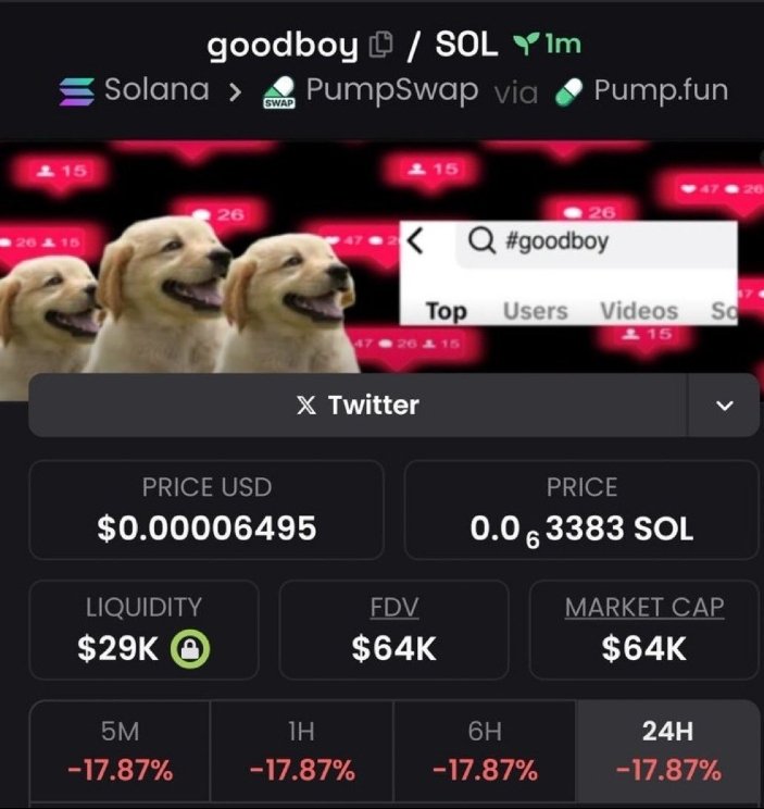 JACK445J's tweet photo. 🔍 Early spot! #goodboy at $64k MCAP. 🚀 Exclusive Solana alpha in private Telegram. 

👉 Alpha access! #Solana #CryptoAlpha https://t.co/YQPOAUuCMz