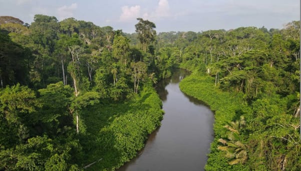 Help MSU make history and discover a new civilization! Our Center for Archaeological Research is going into the Amazon to find proof of an undiscovered civilization. You can make your mark on history by donating to fund their trip at crowdfunding.missouristate.edu/WCAR.