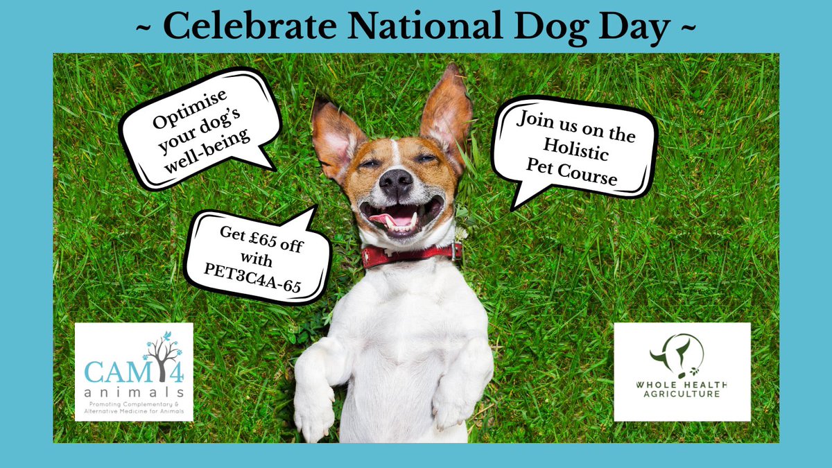 🐕Celebrate #NationalDogDay 

📢Join this Holistic Pet Care course run by vet Chris Auckland +

⭐️ Optimise your #dog's health
⭐️ Work more effectively with your vet
⭐️ Devise a life-long #HolisticHealth care plan 

Get THE BEST DISCOUNT
Use PET3C4A-65⤵️

learning.wholehealthag.org/pet-course-3?f…