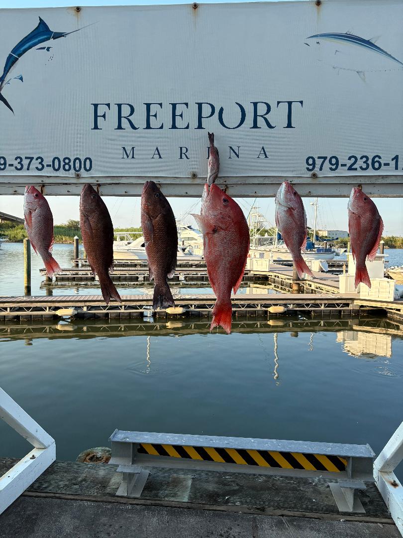 Spent the day in the beautiful Gulf of America and got a big (18lb.) Red Snapper and some really big (11-12lb) Mangrove Snappers.