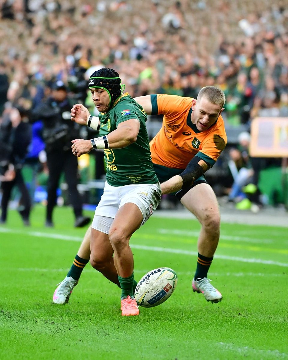 Wallabies 🆚 Springboks – 2nd Test Highlights 📸