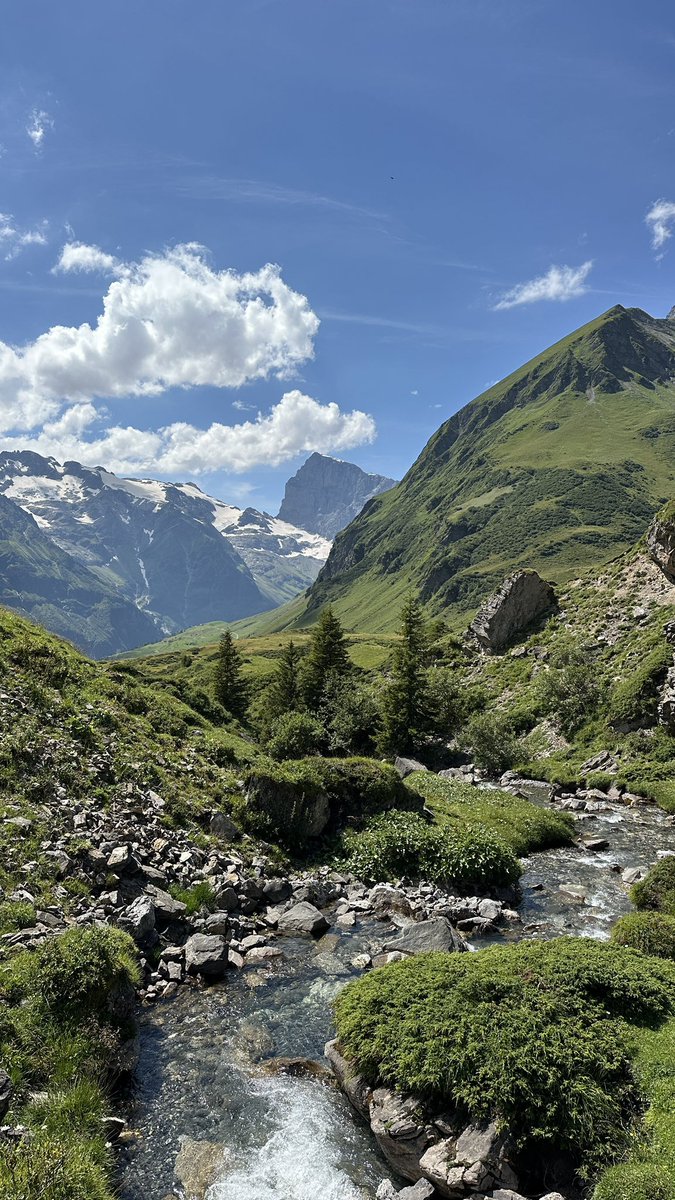 brianovak's tweet image. on august 11 2024 I walked 10.5 miles near engelberg in switzerland