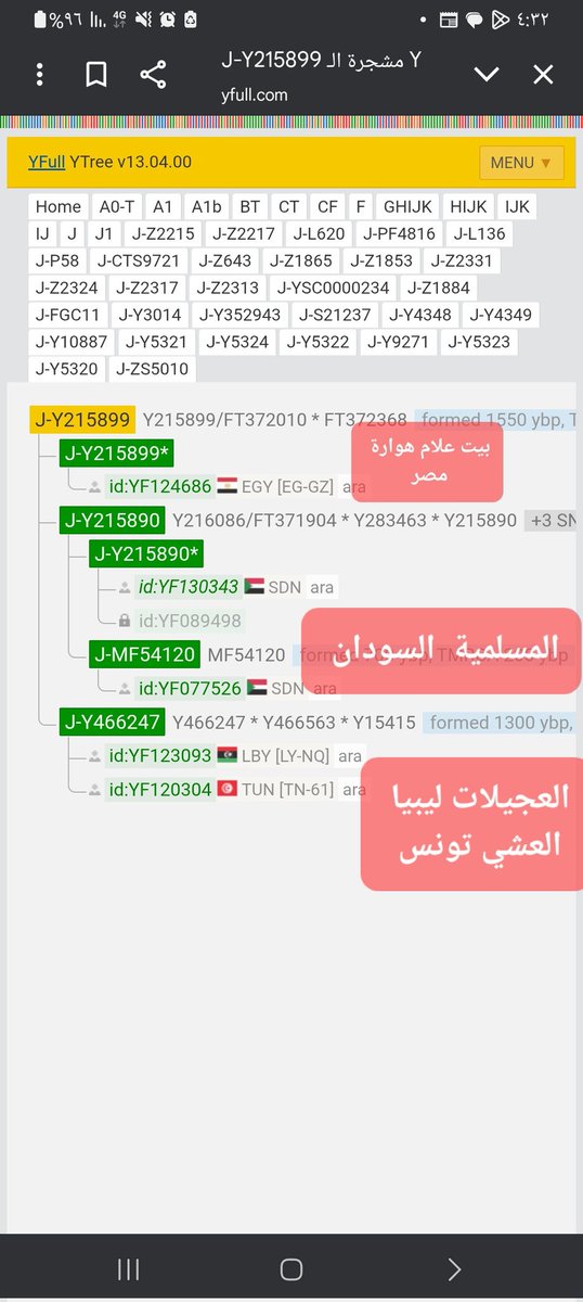 لا يوجد شيء في هذه المشجرة بدون دليل أبداً
x.com/KushMoha/statu…