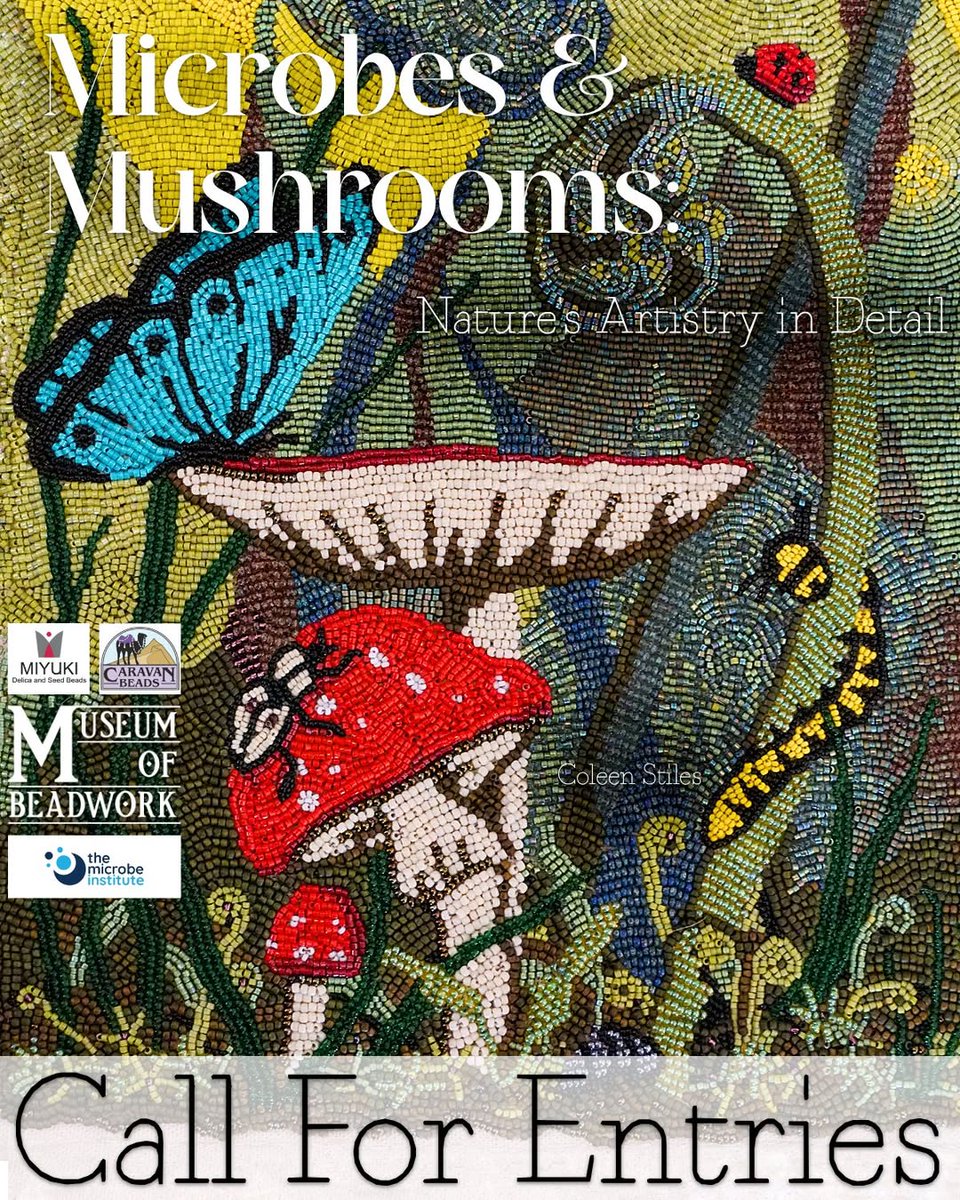 Dr. Anne A Madden tweet media