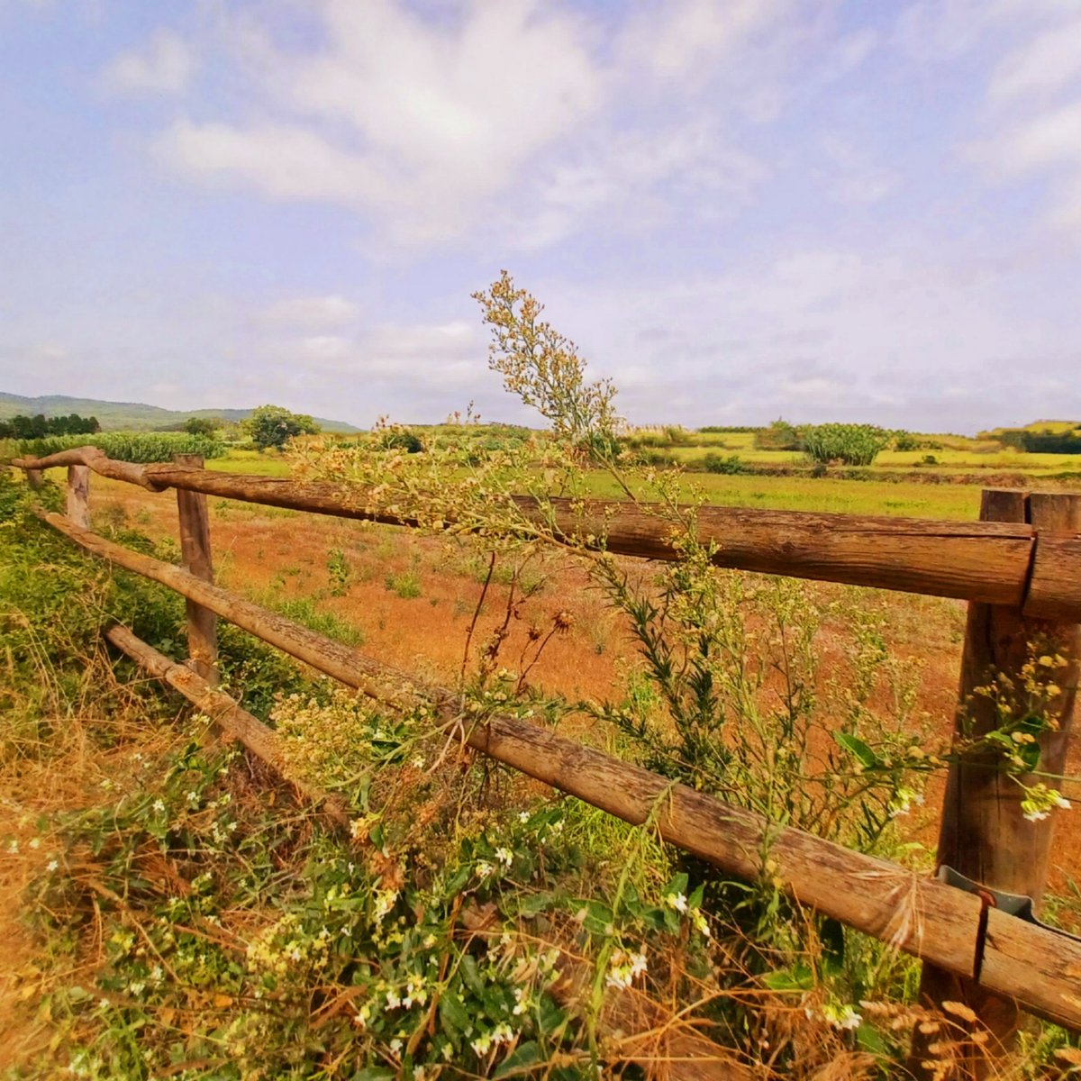 Marta (@golfet61) on Twitter photo 