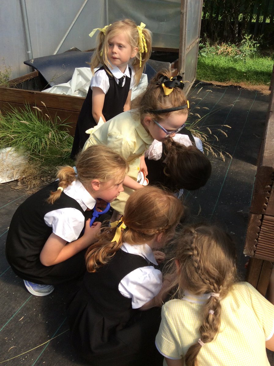 GlenmanorPS's tweet image. Some Room 3 explorers searching for mini-beasts! From wiggly worms to busy beetles, they’ve been learning all about the tiny creatures that share our world 🌎 #outdoorlearning #rspb #rspbwildchallenge