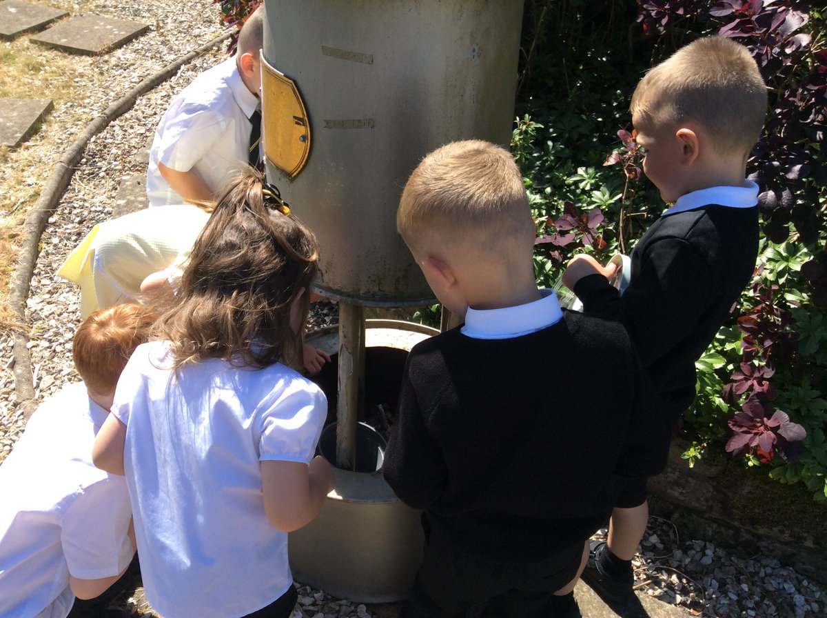 GlenmanorPS's tweet image. Some Room 3 explorers searching for mini-beasts! From wiggly worms to busy beetles, they’ve been learning all about the tiny creatures that share our world 🌎 #outdoorlearning #rspb #rspbwildchallenge