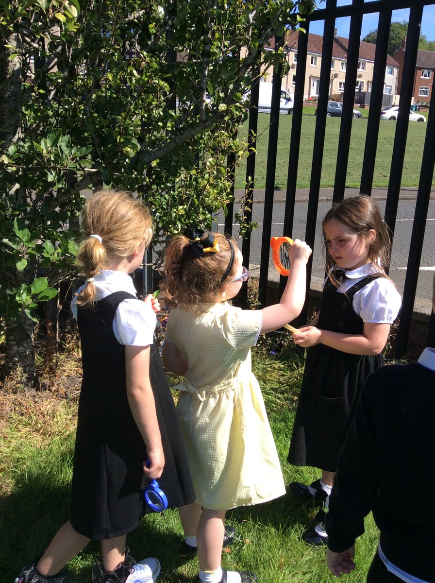 GlenmanorPS's tweet image. Some Room 3 explorers searching for mini-beasts! From wiggly worms to busy beetles, they’ve been learning all about the tiny creatures that share our world 🌎 #outdoorlearning #rspb #rspbwildchallenge
