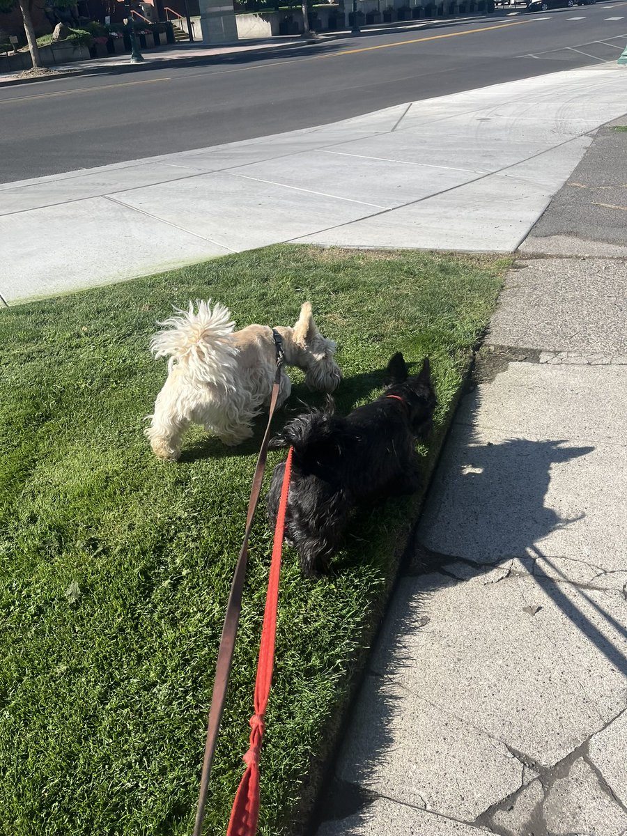 Michelle Warren tweet media