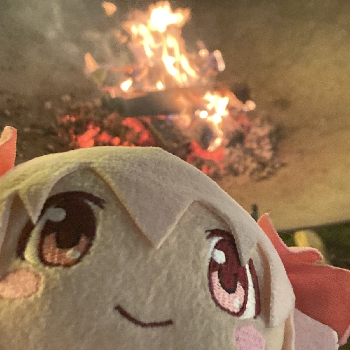 madokaneso's tweet photo. NO MADOKA WATCH OUT. MADOKAAAAAAAAAAA https://t.co/1q5zW1rhhQ