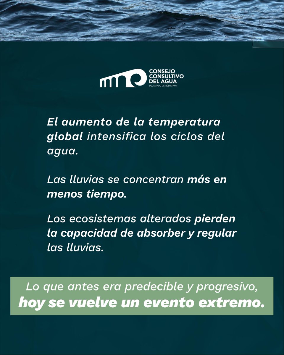 Consejo Consultivo del Agua en Querétaro tweet media