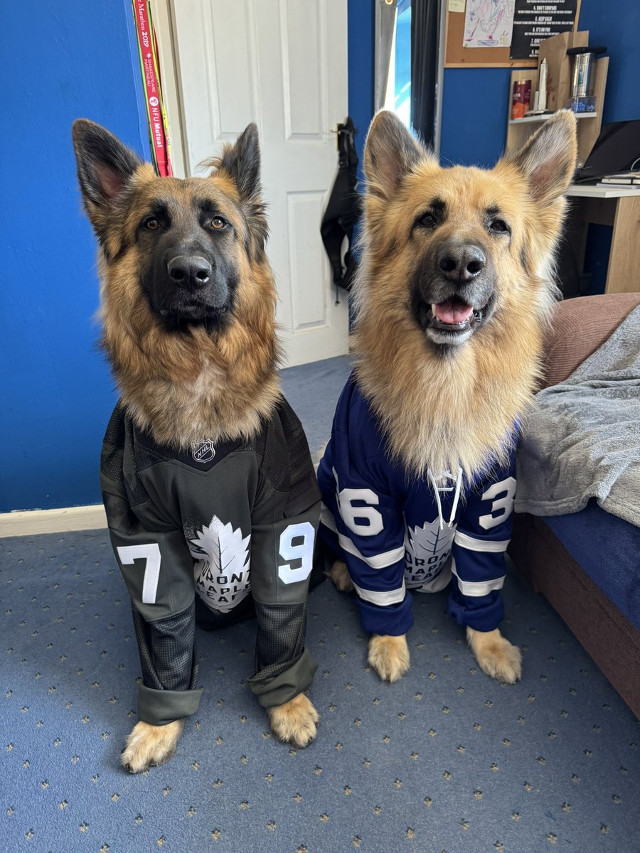 J_A1988's tweet image. From Puppies To Big Cuddly 🐻 

Campbell &amp;amp; Rielly have always said #GoLeafsGo 

#HappyInternationalDogDay