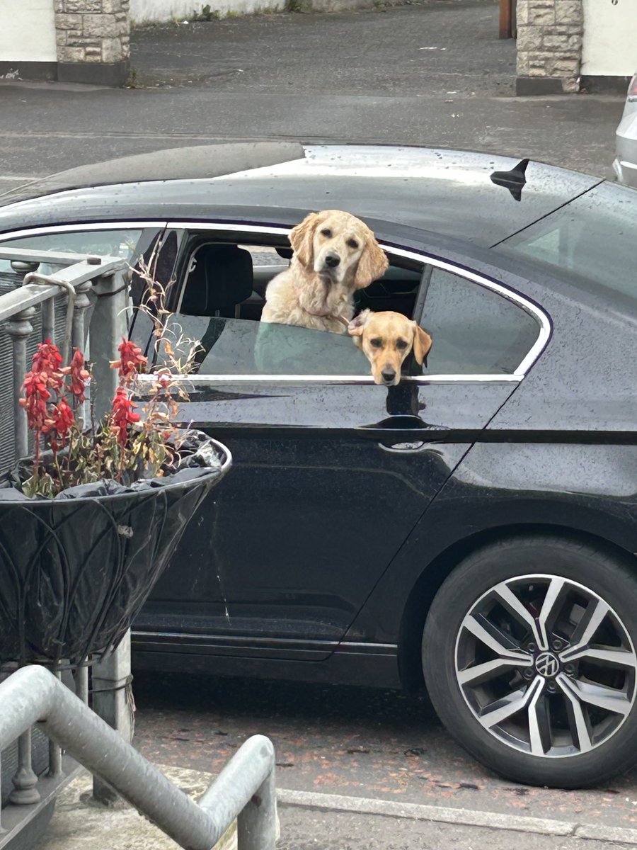 When you literally leave them for 2 minutes,and when you come back and they look at you like you’ve left them for a week.The big girl is a diva and judges ye always, the wee man looks like he’ll get me back! #hallions #juliesbabies