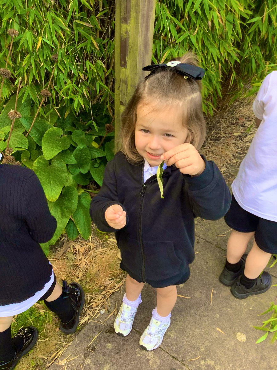 GlenmanorPS's tweet image. Room 3 have been investigating plants &amp;amp;leaves.We have spotted different colours, textures&amp;amp;patterns as we begin to explore the world of nature. We even tried to match a few leaves to the pictures, this helped us to name some trees in our garden #outdoorlearning #rspbwildchallenge