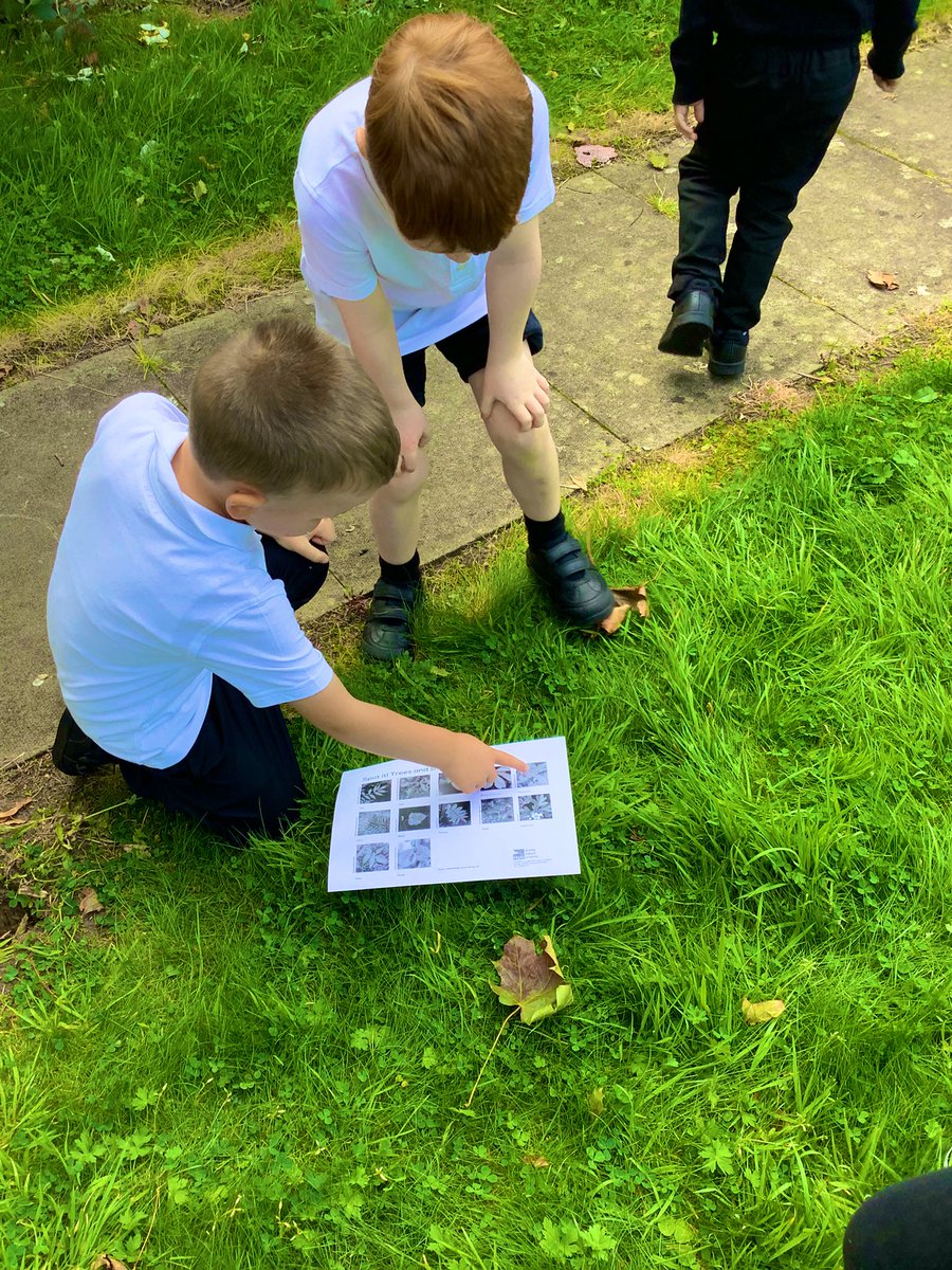 GlenmanorPS's tweet image. Room 3 have been investigating plants &amp;amp;leaves.We have spotted different colours, textures&amp;amp;patterns as we begin to explore the world of nature. We even tried to match a few leaves to the pictures, this helped us to name some trees in our garden #outdoorlearning #rspbwildchallenge