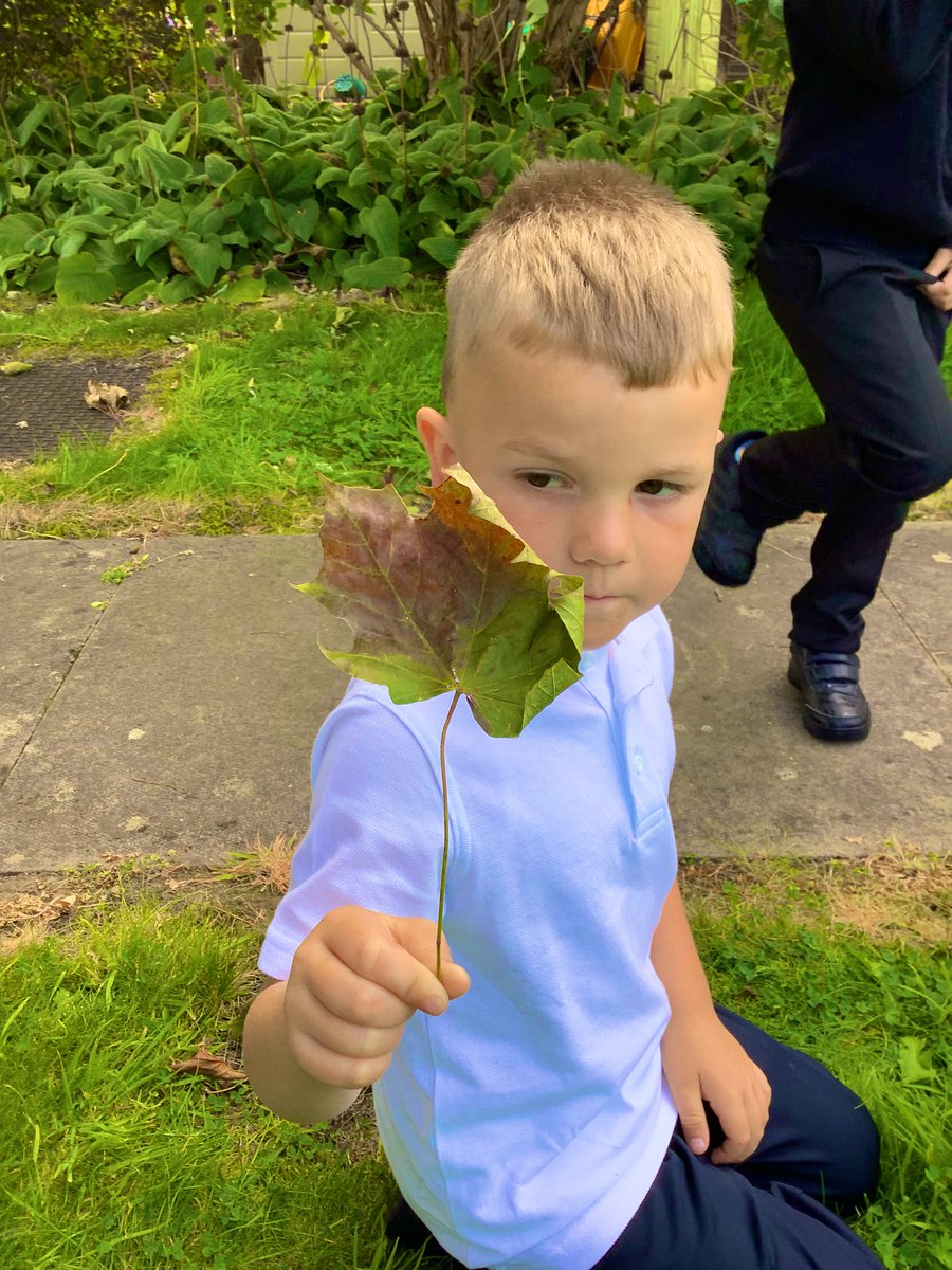 GlenmanorPS's tweet image. Room 3 have been investigating plants &amp;amp;leaves.We have spotted different colours, textures&amp;amp;patterns as we begin to explore the world of nature. We even tried to match a few leaves to the pictures, this helped us to name some trees in our garden #outdoorlearning #rspbwildchallenge