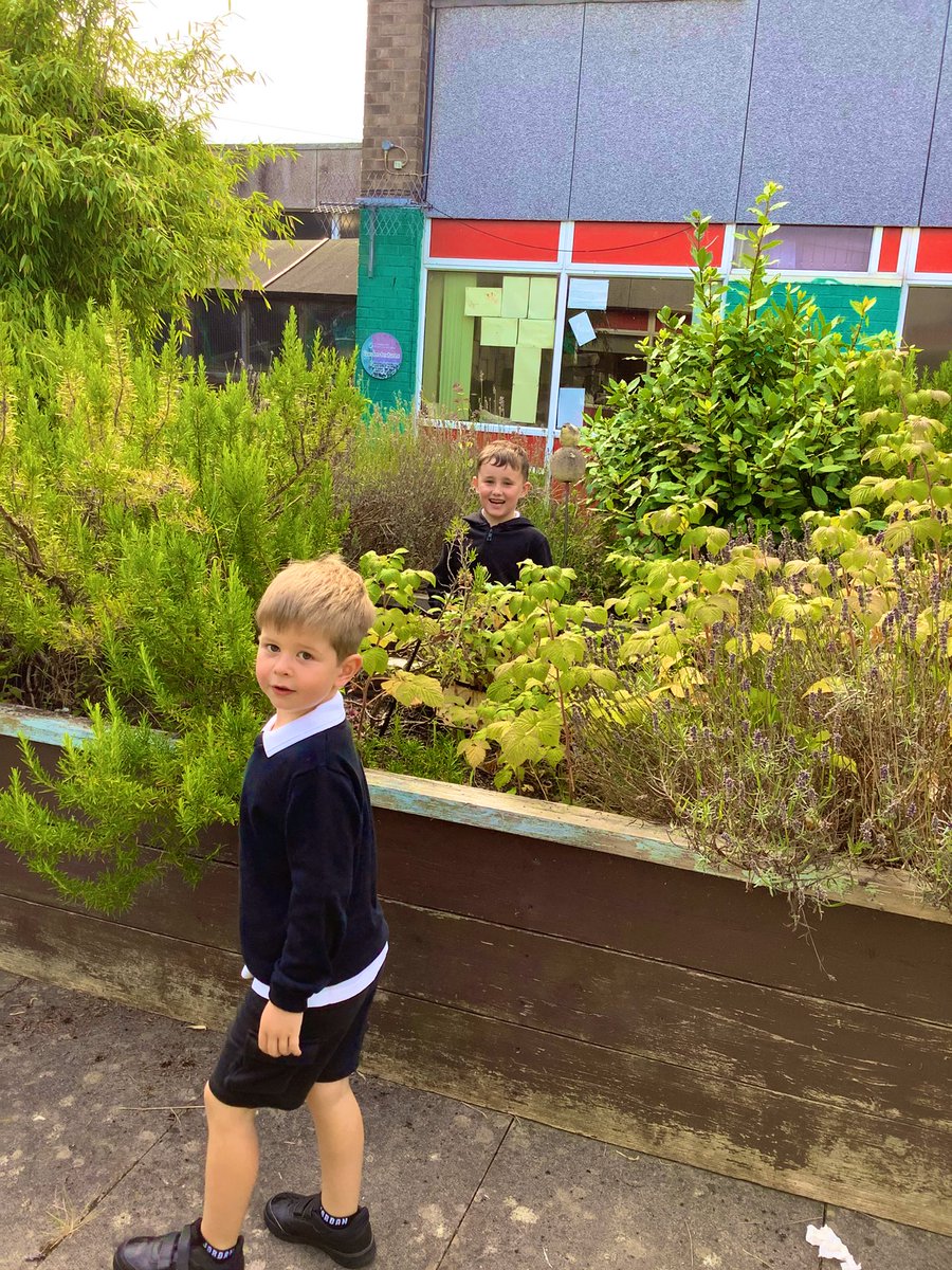 GlenmanorPS's tweet image. #rspbwildchallenge