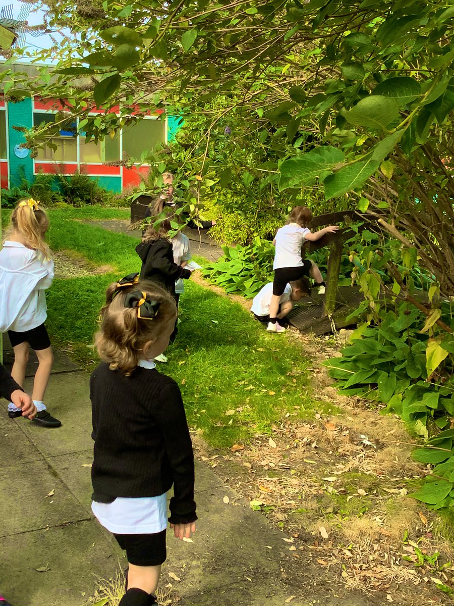 GlenmanorPS's tweet image. #rspbwildchallenge
