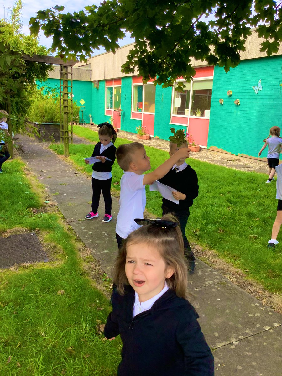 GlenmanorPS's tweet image. #rspbwildchallenge