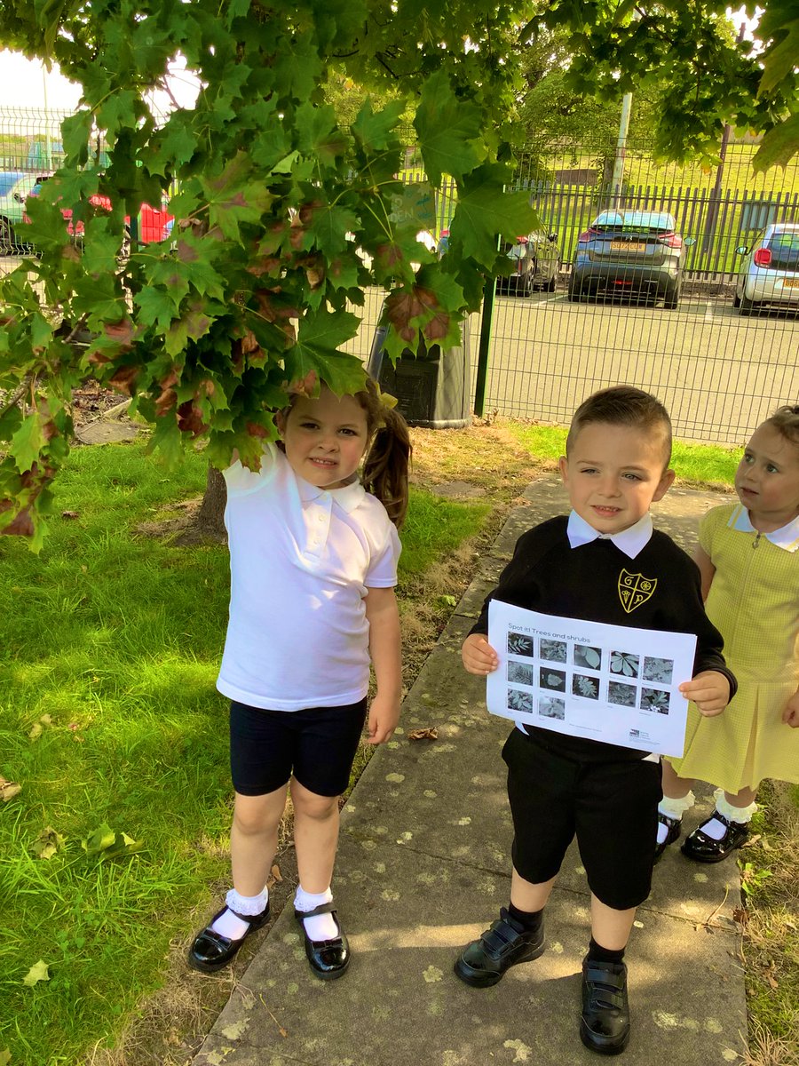 GlenmanorPS's tweet image. #rspbwildchallenge