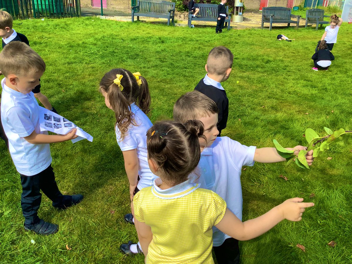 GlenmanorPS's tweet image. #rspbwildchallenge