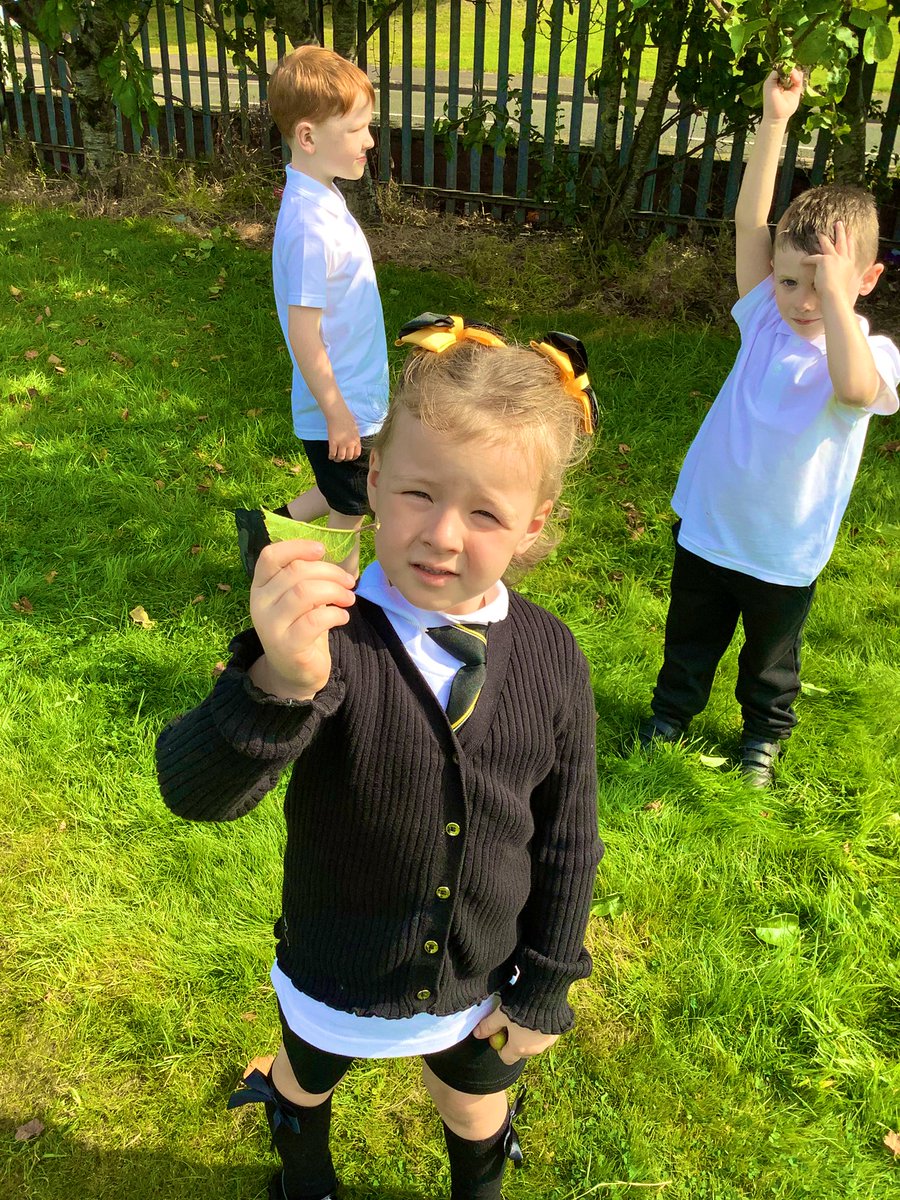 GlenmanorPS's tweet image. #rspbwildchallenge