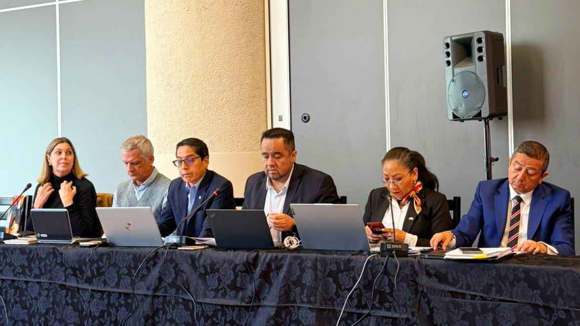 OIRSAoficial's tweet photo. En la actividad participan representantes de 16 países de Latinoamérica, quienes dialogan sobre Normas Internacionales de Medidas Fitosanitarias #NIMF, su implementación e iniciativas por la #SanidadVegetal🌱 en la región. https://t.co/wcz1n2RB5Y