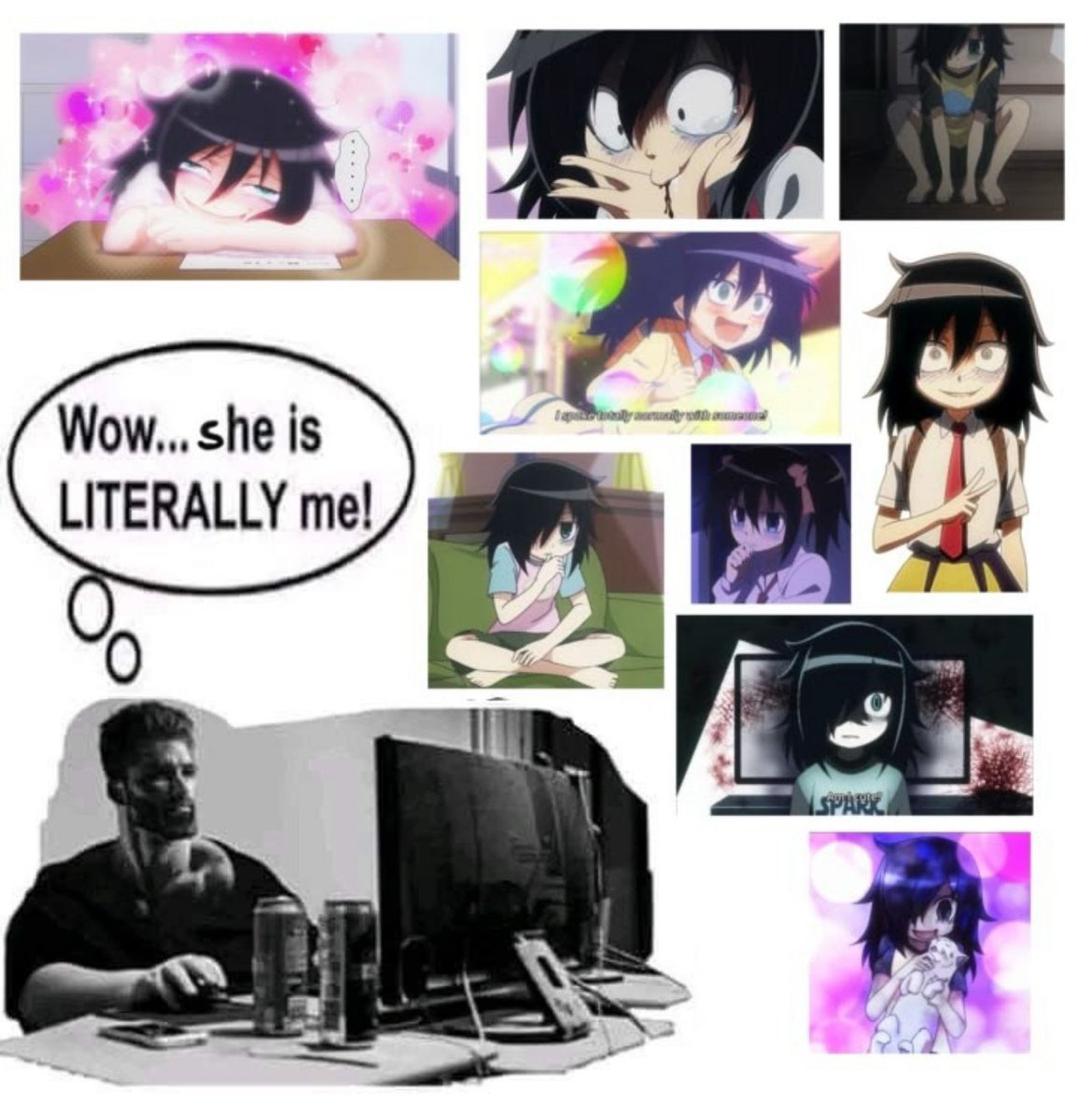Decomkitty's tweet photo. https://t.co/tnSY3Tm0Kl