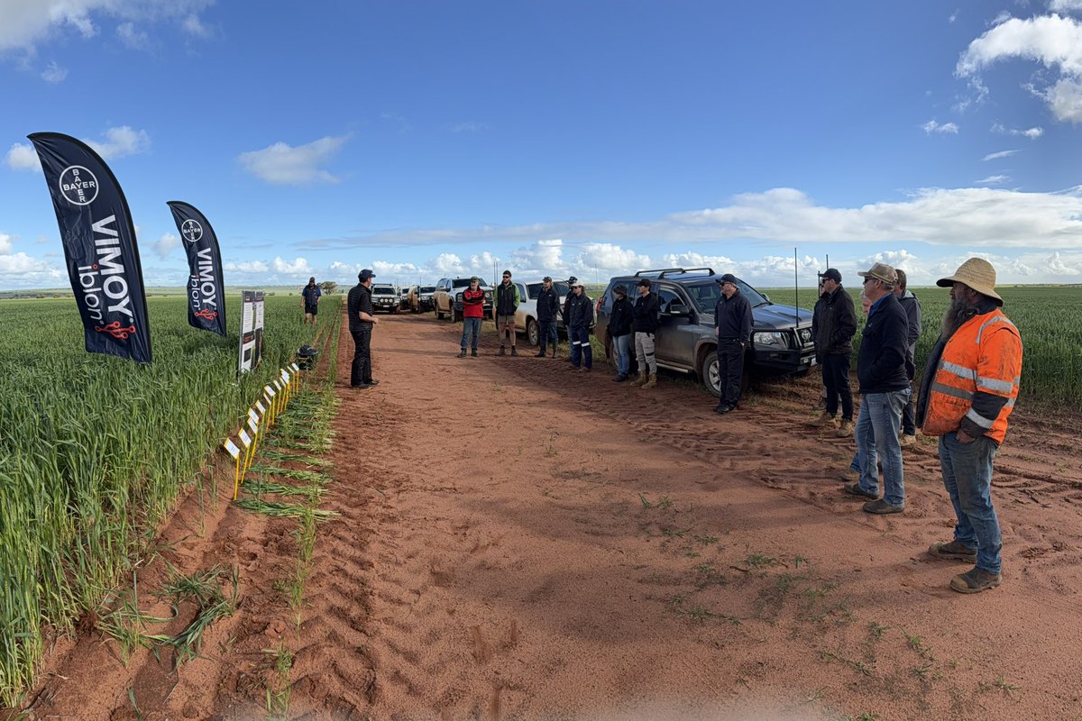 Inner Circle Field Day , looking at a range of cereal broadleaf herbicide and fungicide trials, as well as a visit to the Eradu wheat and barley NVTs.  Great presentations from BASF, Adama, Bayer, Longreach, AGT and Intergrain.  Sites managed by Crop Circle Research
#NVTProvider