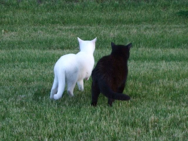 eryspaces's tweet image. tes, masuk ga? #zonauang️