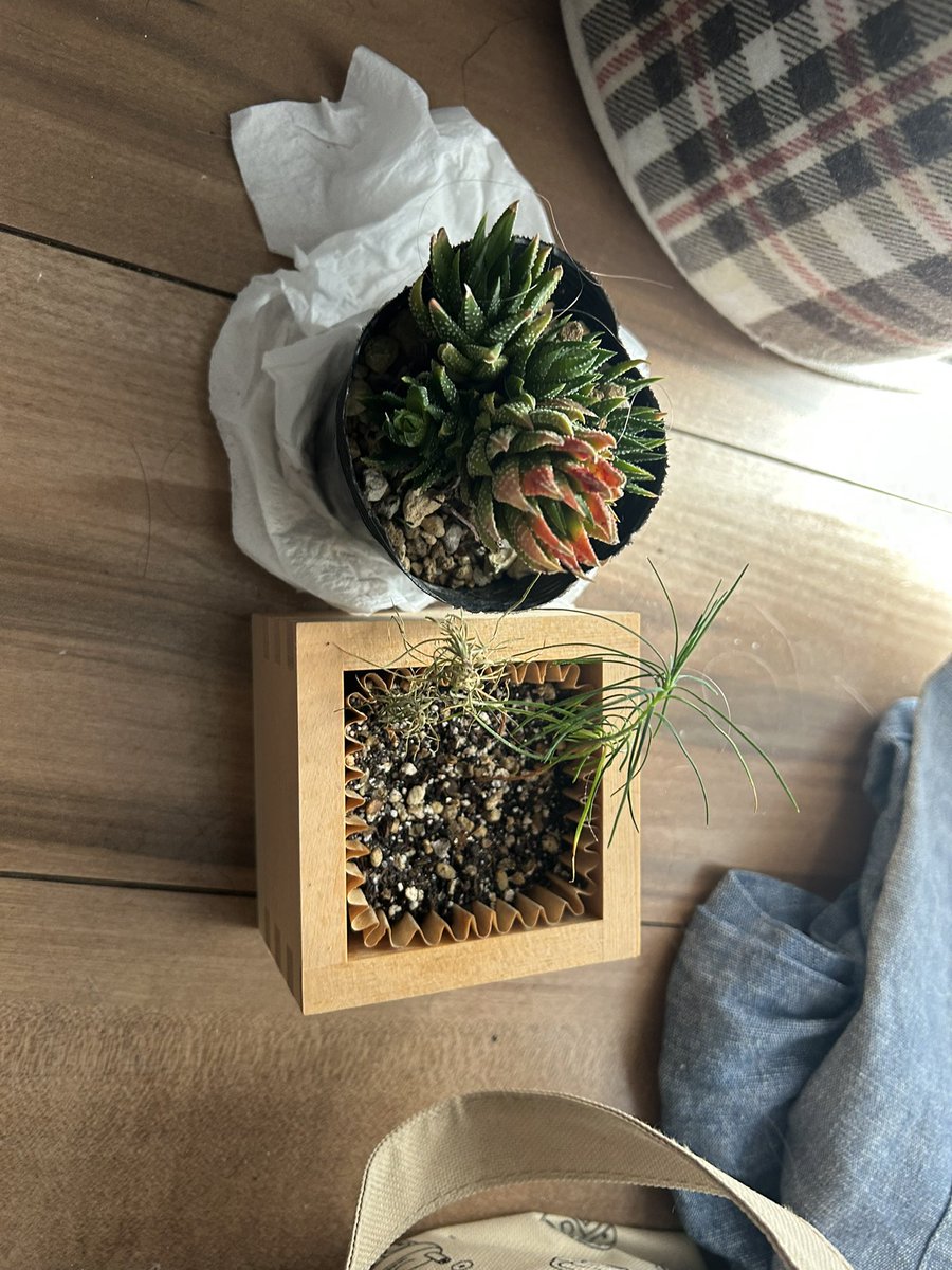 ｱｲﾀｹﾎﾟｹｶﾖｳ tweet media